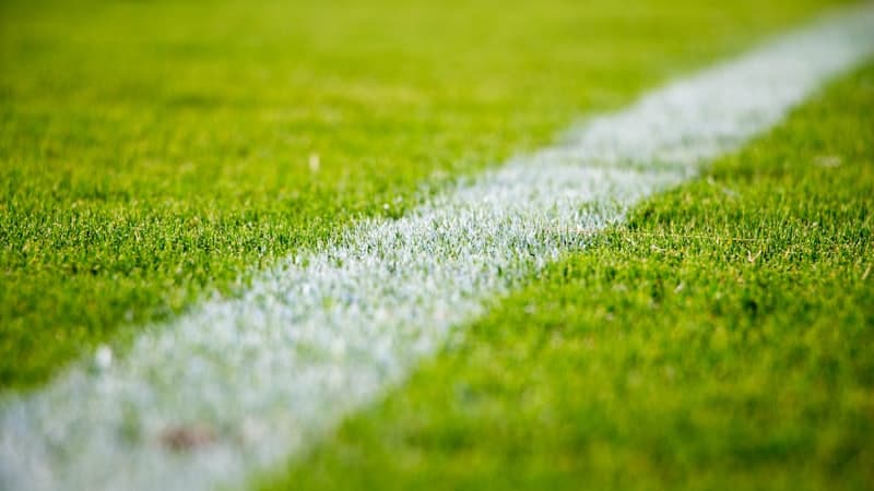 نجوم دوري روشن السعودي: الكوكبة العالمية التي غيّرت وجه اللعبة